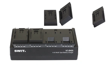4-канальное многофункциональное зарядное устройство DV LC-D421 U/F/D/B/C/I/V/E (LC-D421)