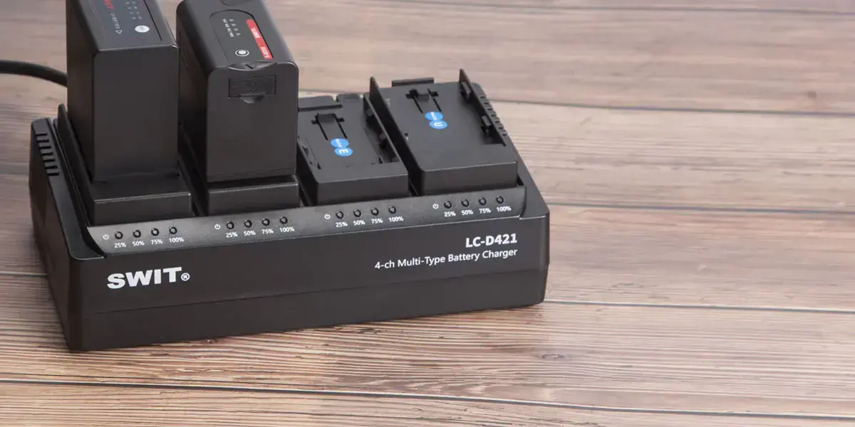 4-канальний багатофункціональний зарядний пристрій DV LC-D421 U/F/D/B/C/I/V/E (LC-D421)