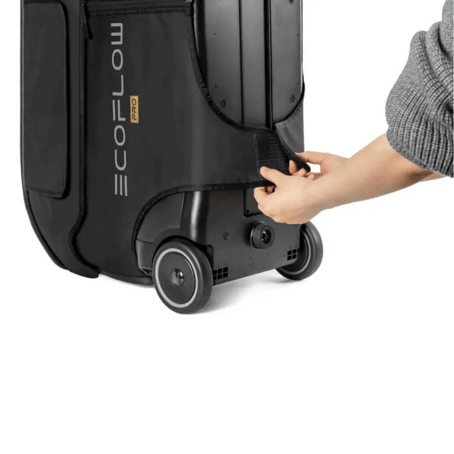 Сумка EcoFlow DELTA Pro Bag (BDELTAPro)