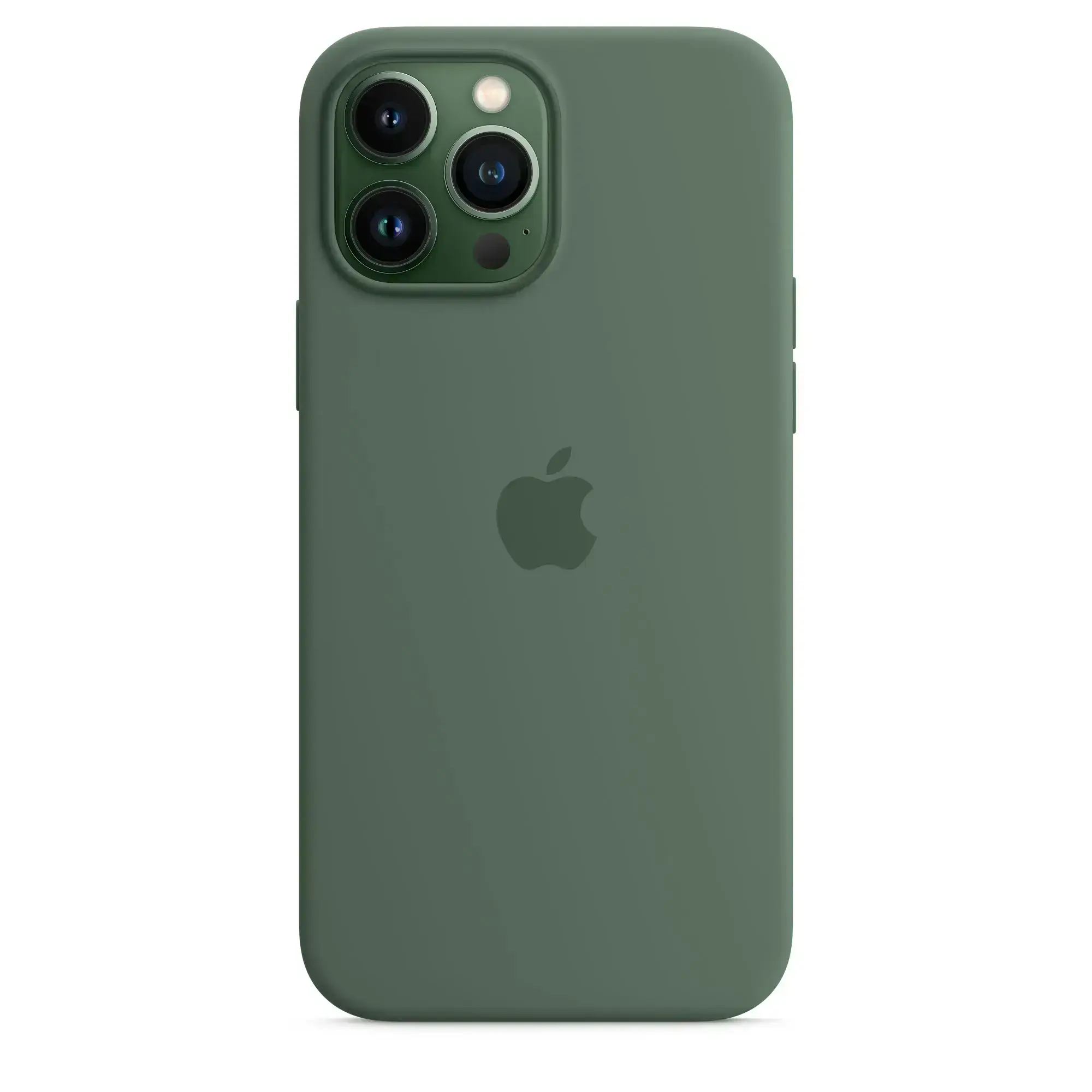 Чехол Apple iPhone 13 Pro Max Silicone Case with MagSafe - Eucalyptus (MN6C3) Lux Copy
