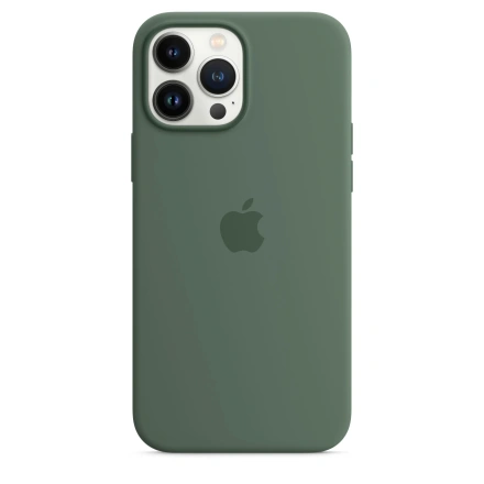 Чохол Apple iPhone 13 Pro Max Silicone Case with MagSafe - Eucalyptus (MN6C3) Lux Copy