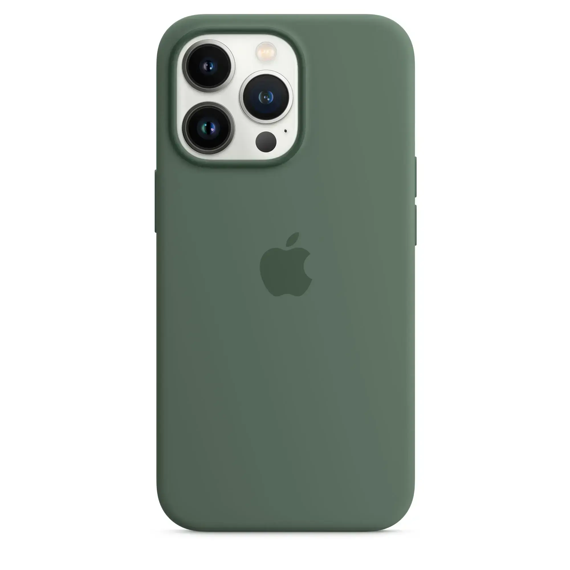 Чохол Apple iPhone 13 Pro Silicone Case with MagSafe - Eucalyptus (MN673) Lux Copy