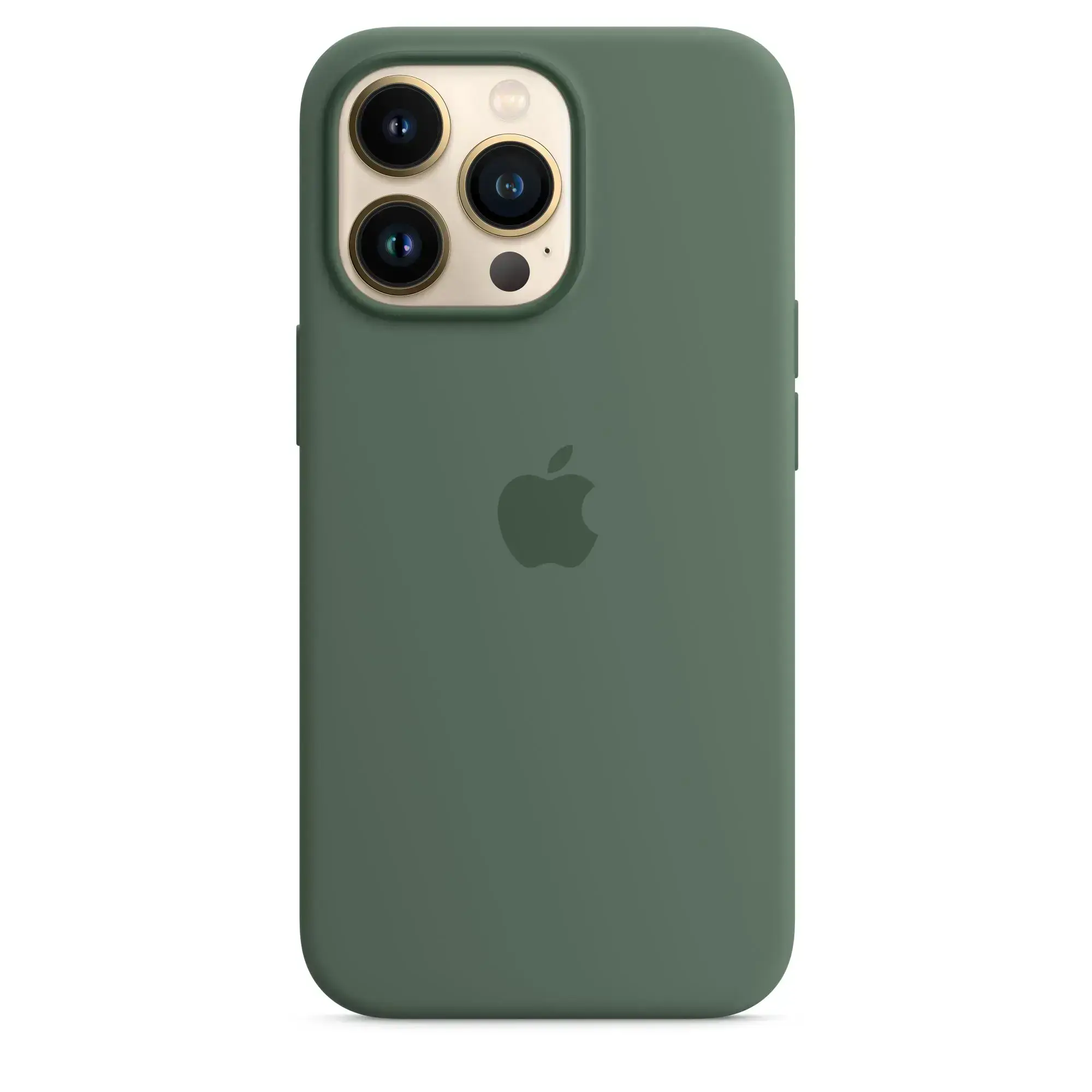 Чохол Apple iPhone 13 Pro Silicone Case with MagSafe - Eucalyptus (MN673) Lux Copy