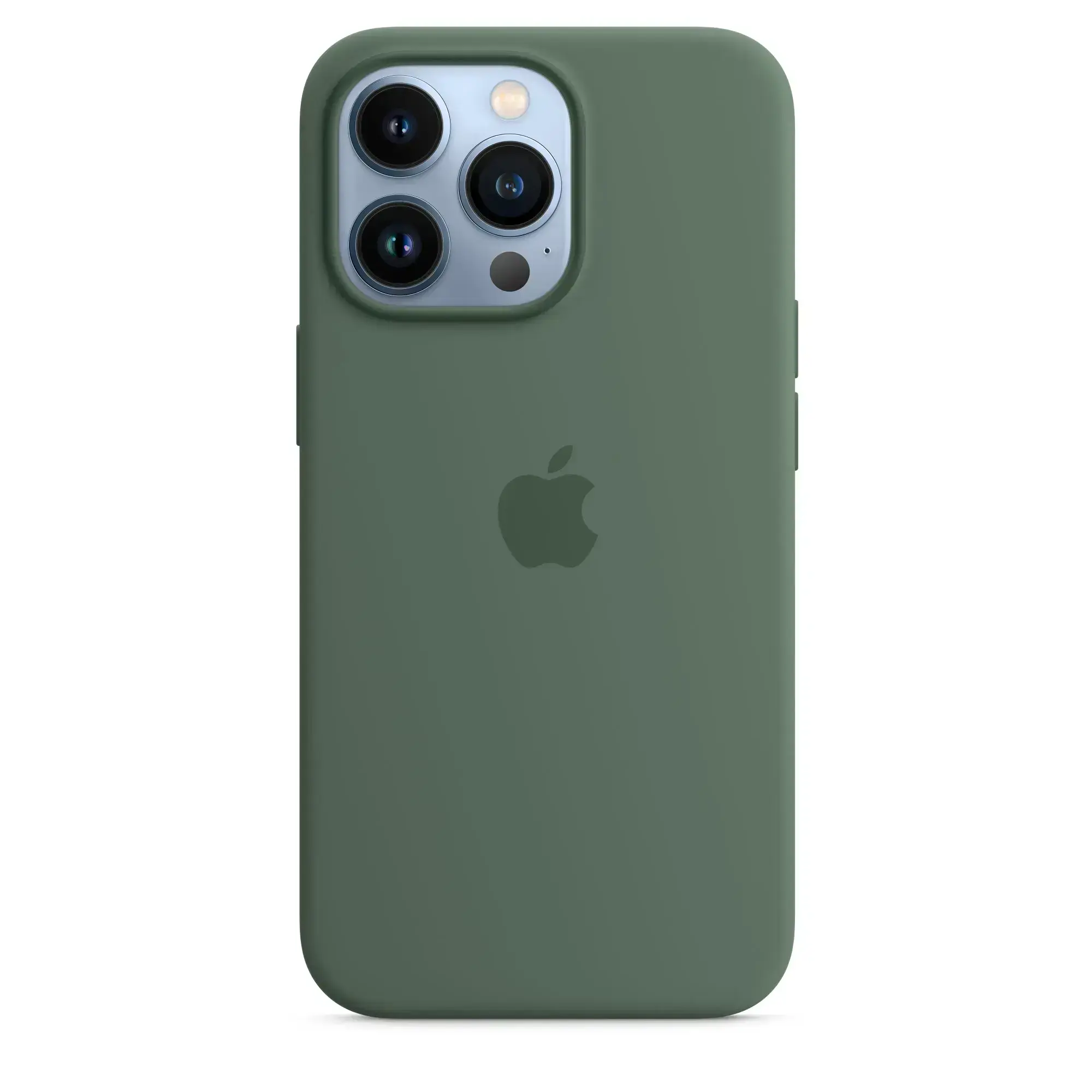Чохол Apple iPhone 13 Pro Silicone Case with MagSafe - Eucalyptus (MN673) Lux Copy
