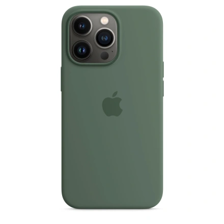 Чохол Apple iPhone 13 Pro Silicone Case with MagSafe - Eucalyptus (MN673) Lux Copy