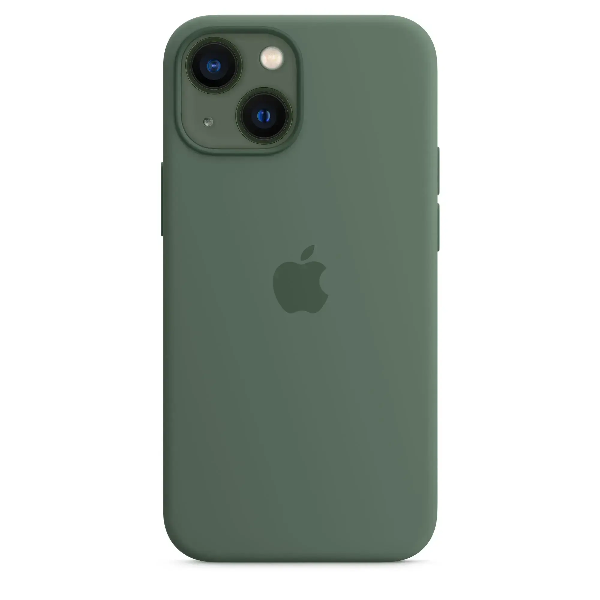 Чохол Apple iPhone 13 mini Silicone Case with MagSafe - Eucalyptus (MN5Y3)