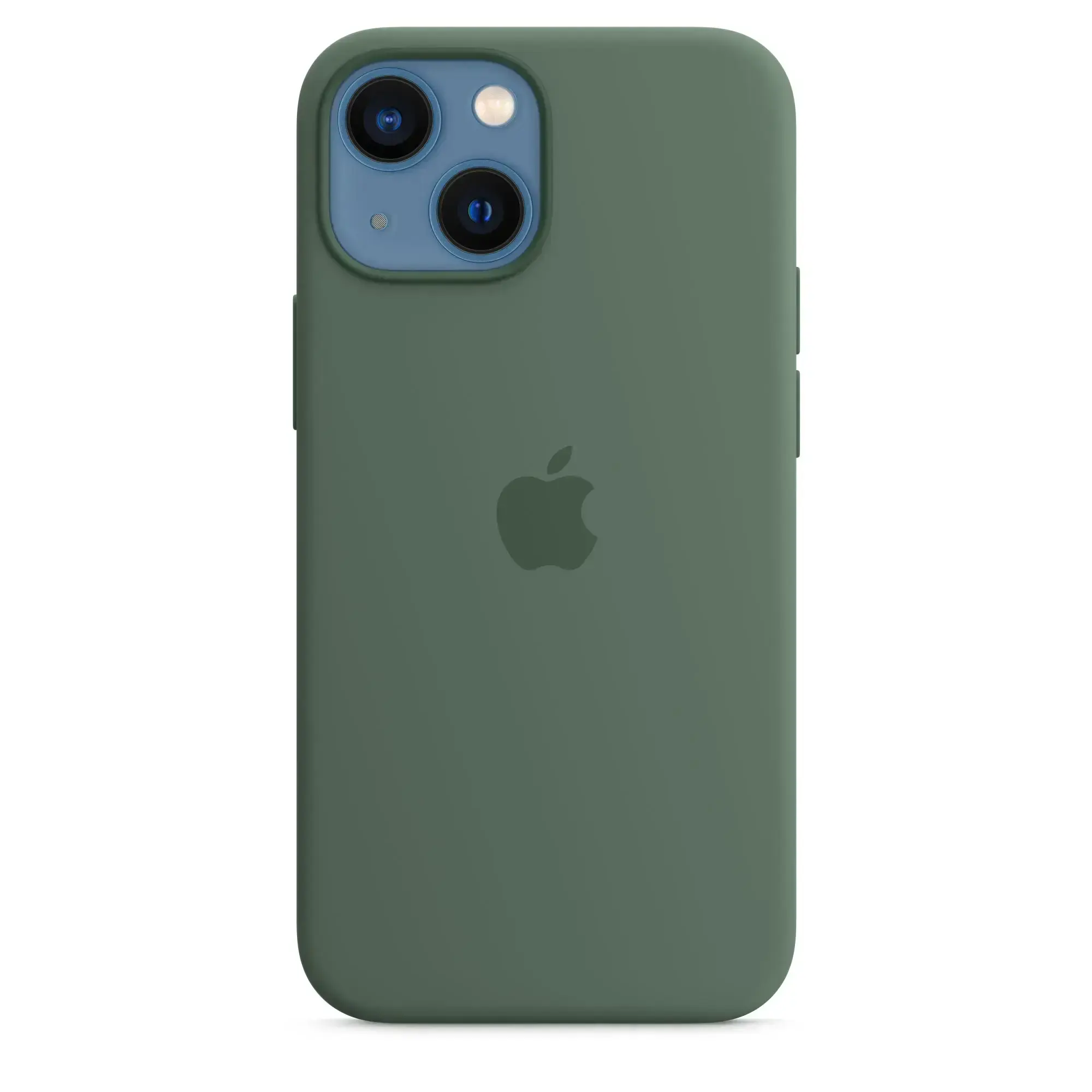 Чохол Apple iPhone 13 mini Silicone Case with MagSafe - Eucalyptus (MN5Y3)