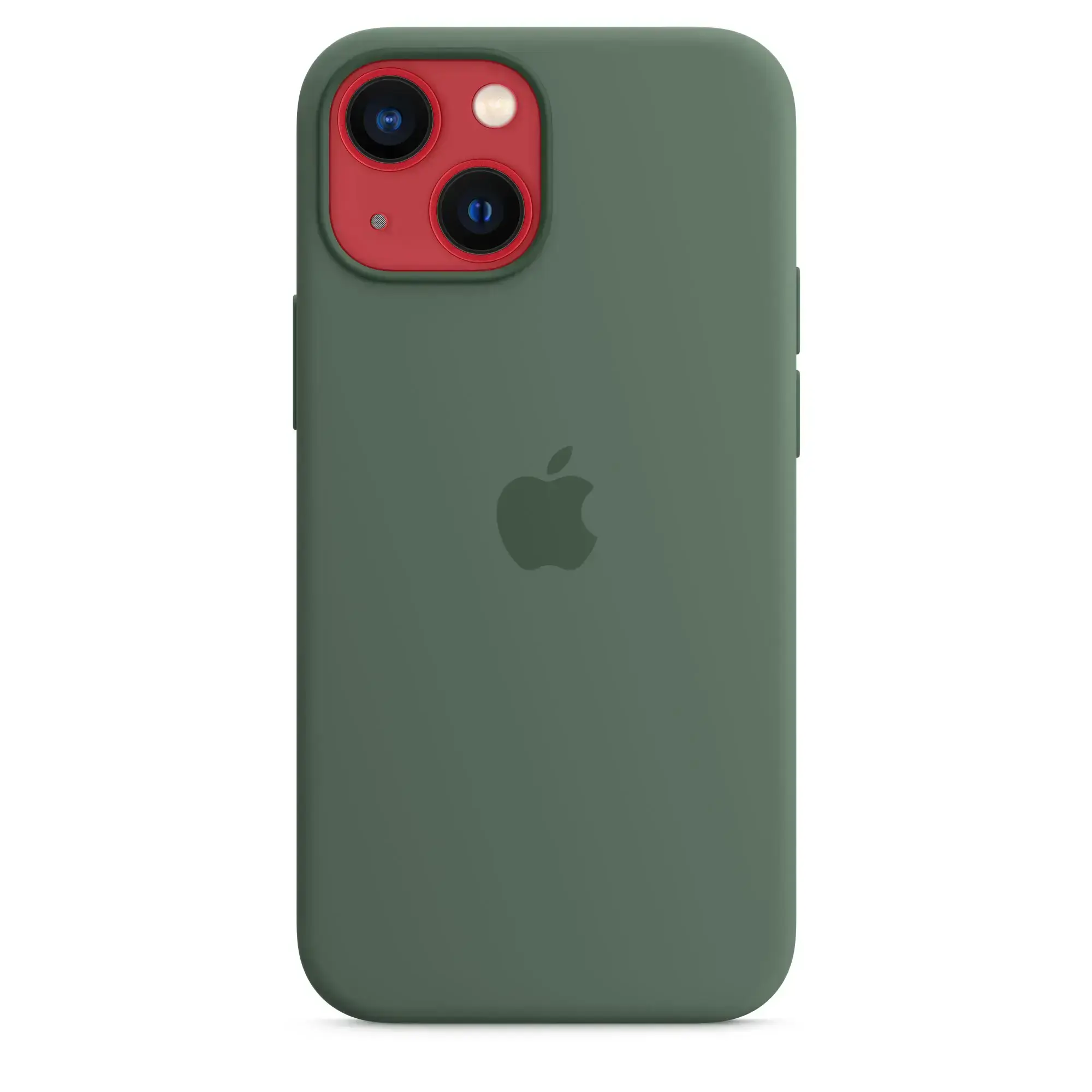 Чохол Apple iPhone 13 mini Silicone Case with MagSafe - Eucalyptus (MN5Y3)