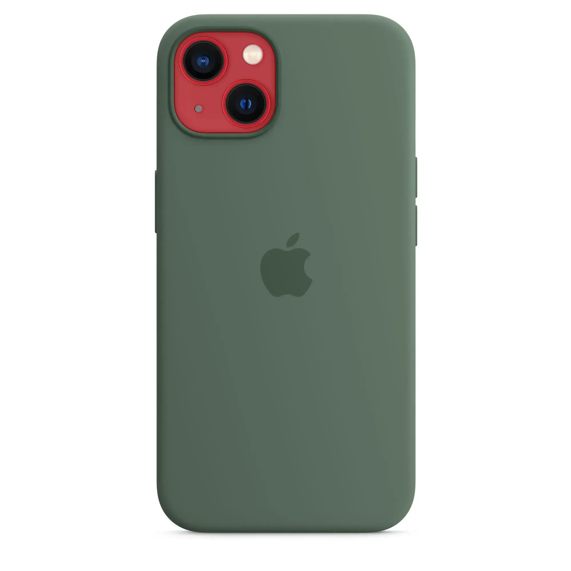 Чохол Apple iPhone 13 Silicone Case with MagSafe - Eucalyptus (MN633)