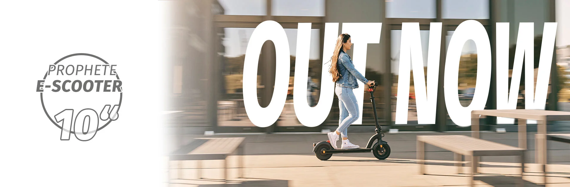 Електросамокат Prophete E-Scooter 10