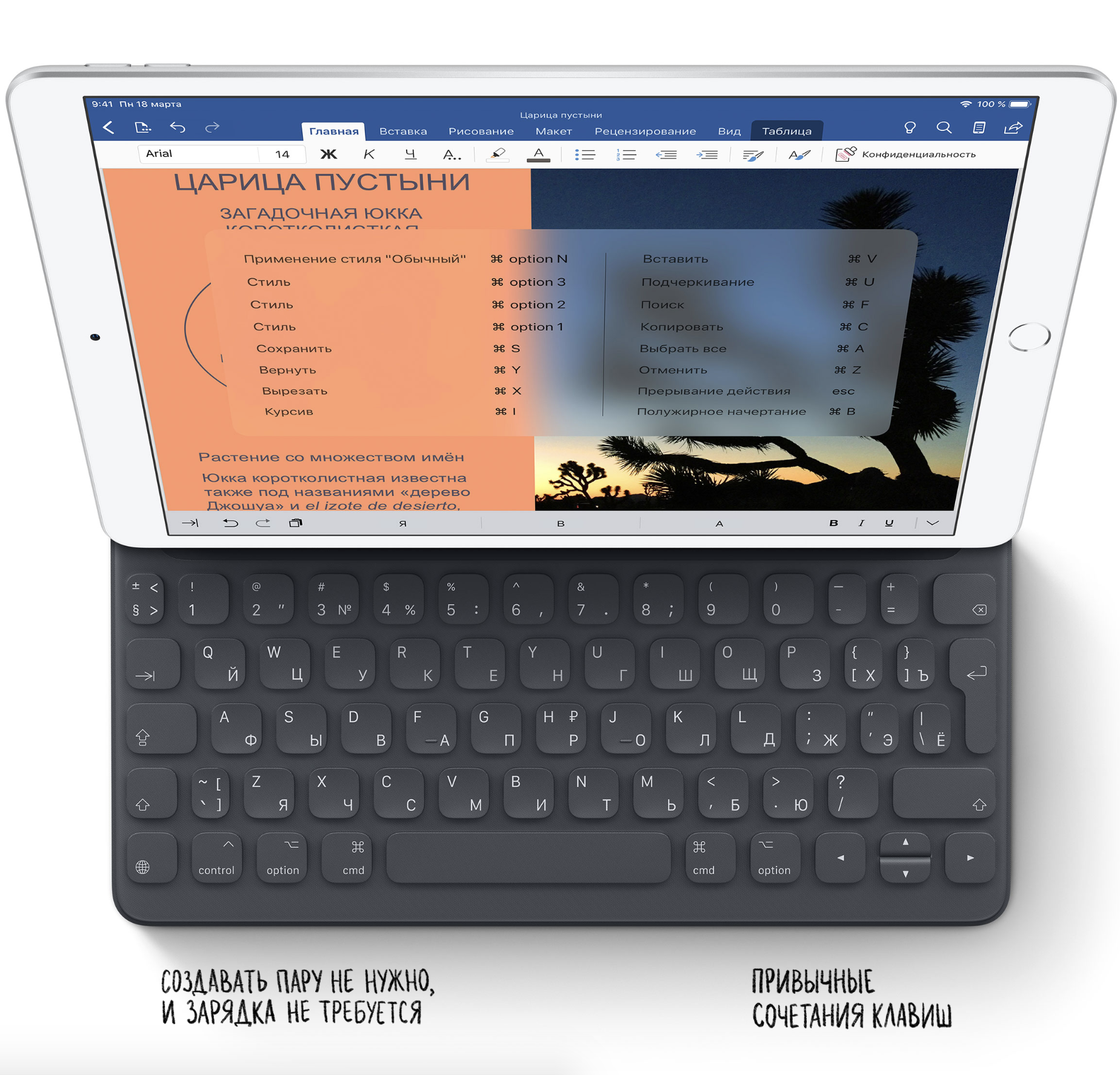 iPad Air 3 Wi-Fi 64GB Silver (MUUK2)