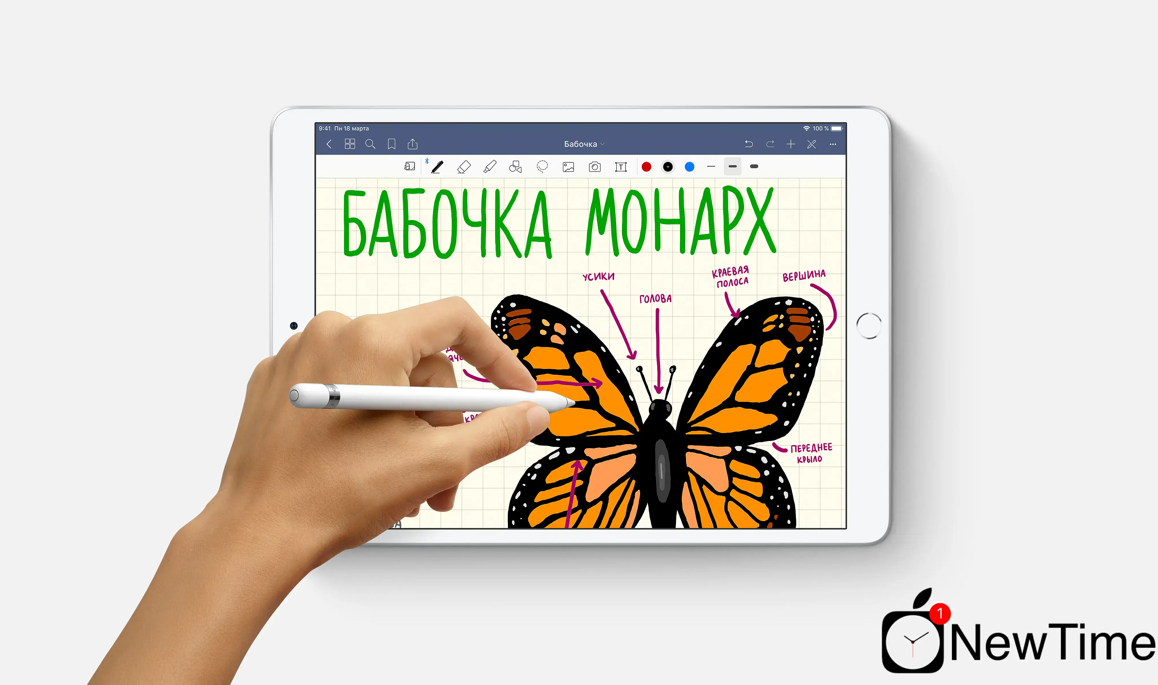 iPad Air 3 Wi-Fi 64GB Silver (MUUK2)