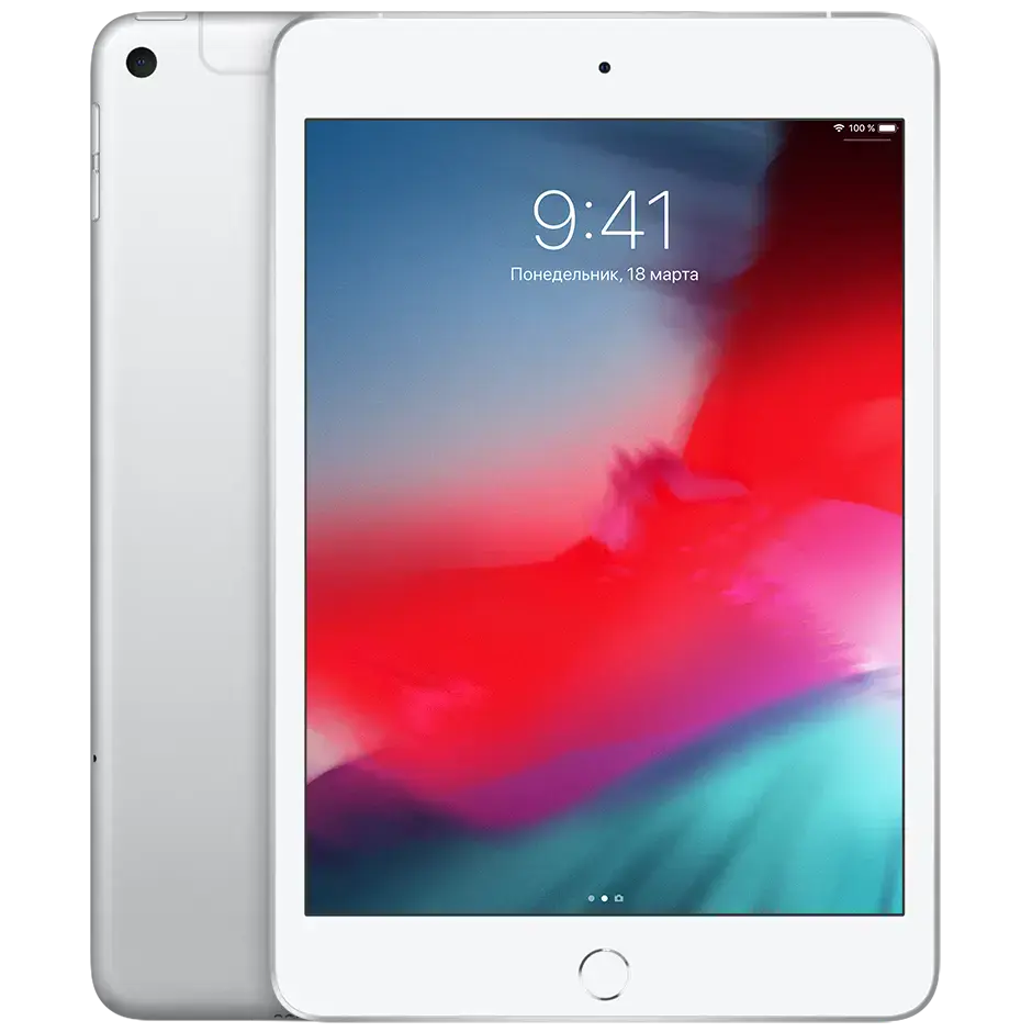 iPad mini 5 Wi-Fi + Cellular 256GB Silver (MUXN2, MUXD2)