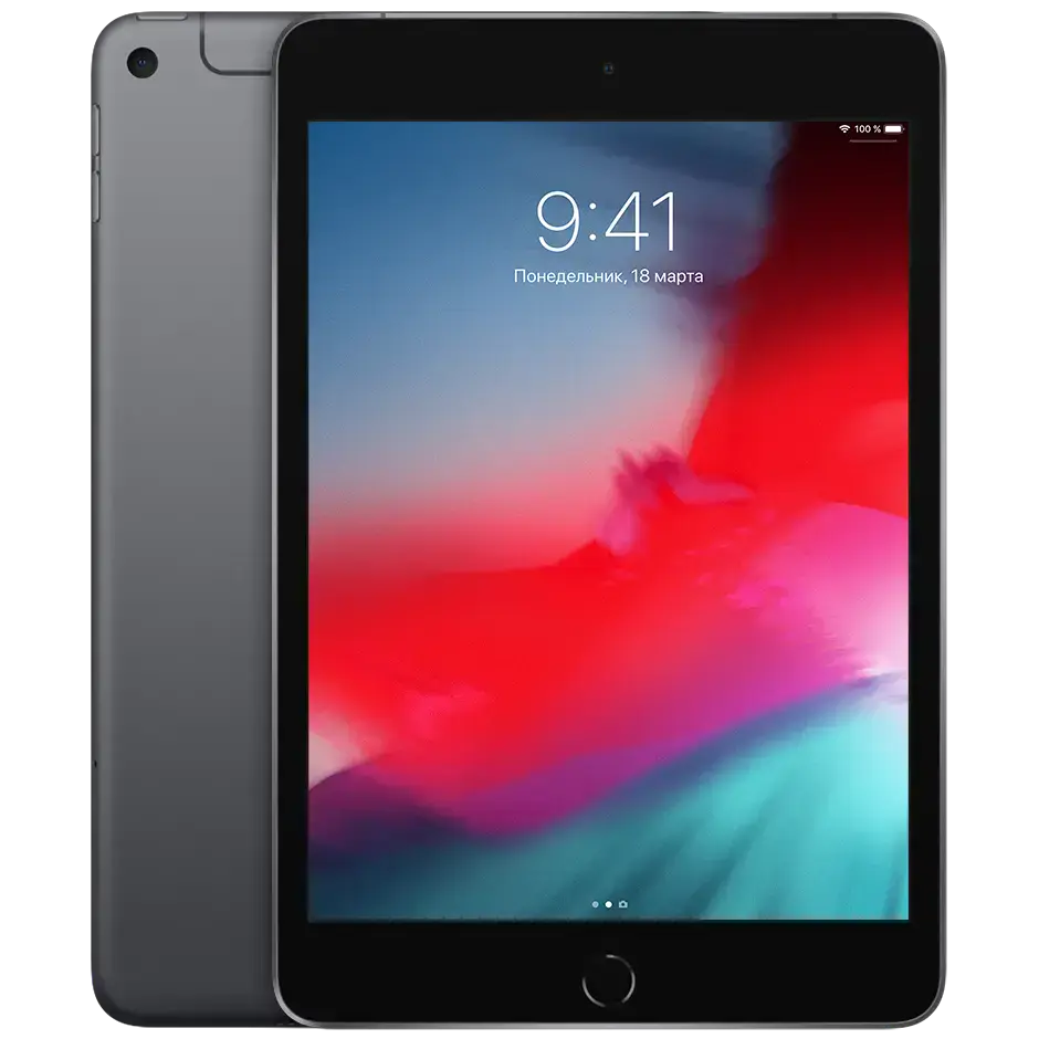 iPad mini 5 Wi-Fi + Cellular 256GB Space Gray (MUXM2, MUXC2)