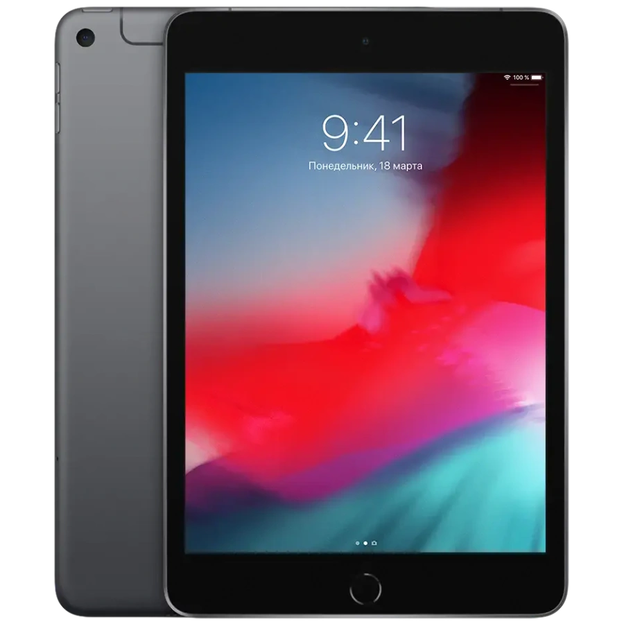 iPad mini 5 Wi-Fi + Cellular 256GB Space Gray (MUXM2, MUXC2)