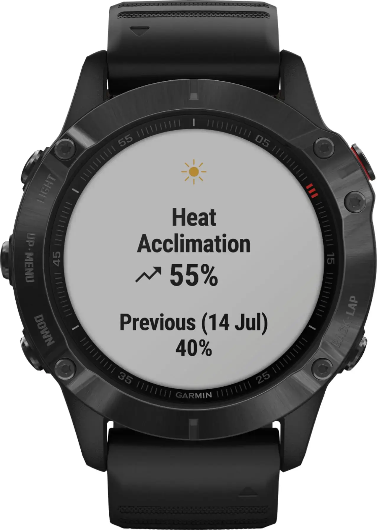 Смарт-часы Garmin Fenix 6 Pro Black (010-02158-02/010-02158-01)