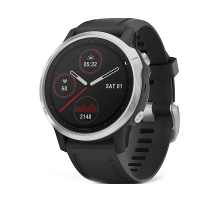 Смарт-часы Garmin Fenix 6S Silver (010-02159-01)