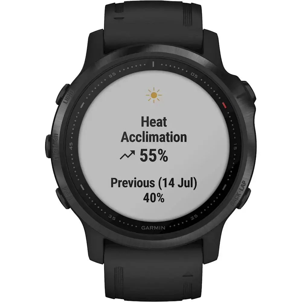 Смарт-часы Garmin Fenix 6S Pro Black With Black Band (010-02159-13)