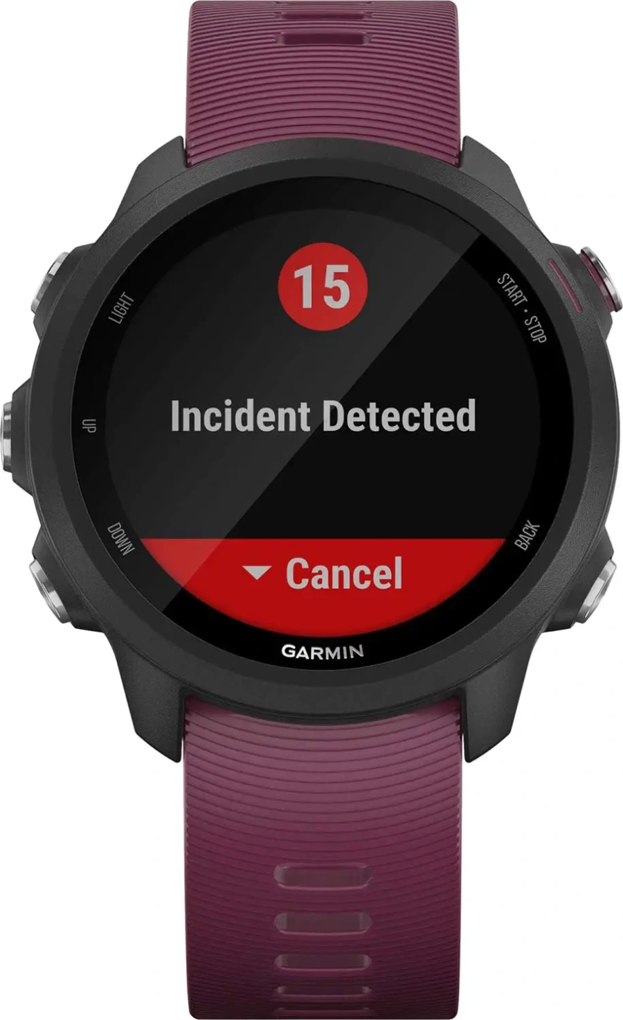 Смарт-годинник Garmin Forerunner 245 Berry (010-02120-01)