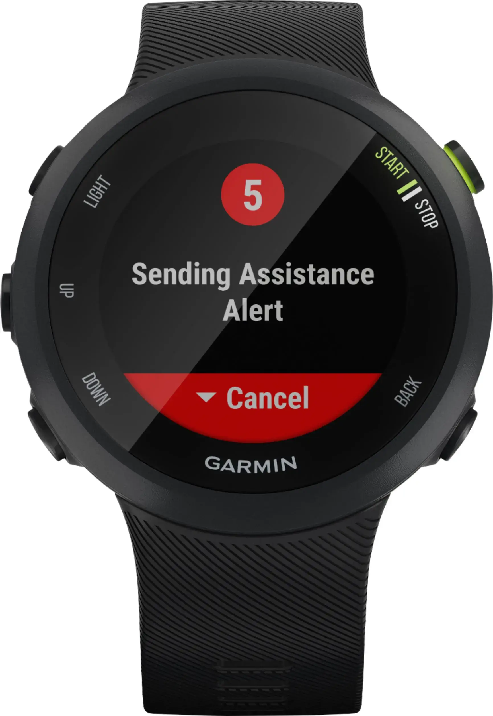 Смарт-годинник Garmin Forerunner 45s Black (010-02156-12)
