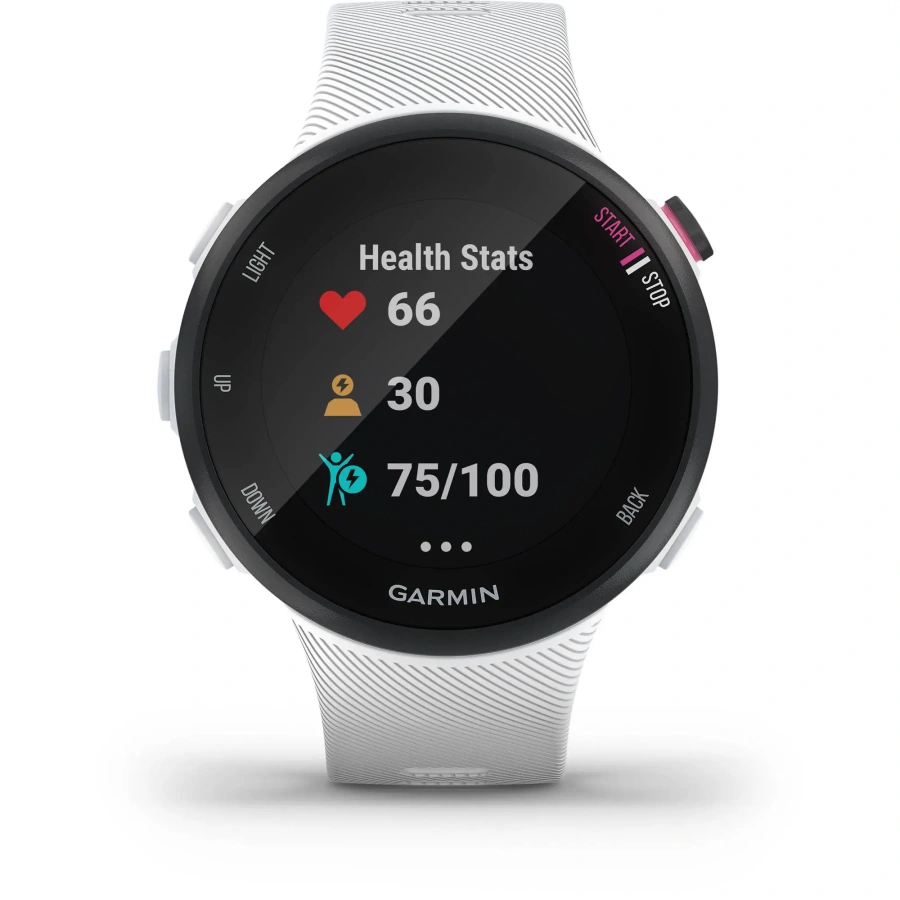 Смарт-годинник Garmin Forerunner 45s White (010-02156-00)