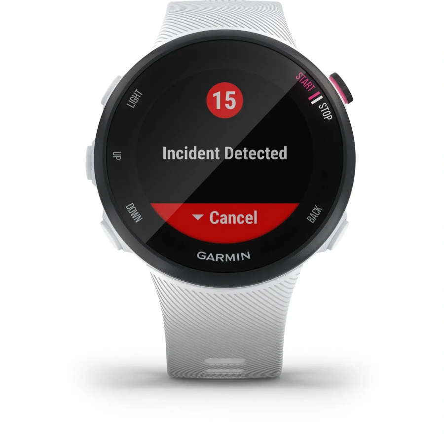 Смарт-годинник Garmin Forerunner 45s White (010-02156-00)