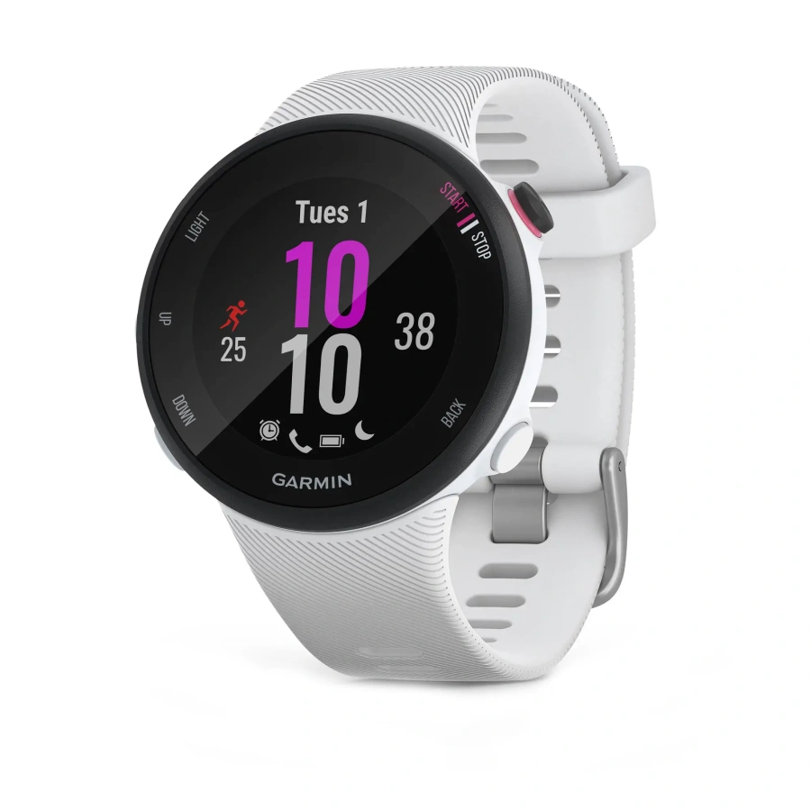 Смарт-годинник Garmin Forerunner 45s White (010-02156-00)