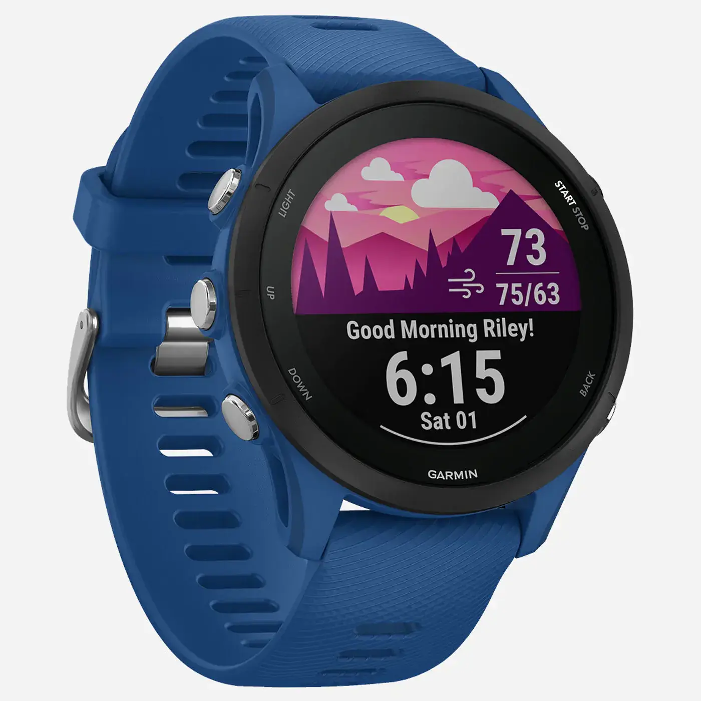 Смарт-годинник Garmin Forerunner 255 Tidal Blue (010-02641-01/11)