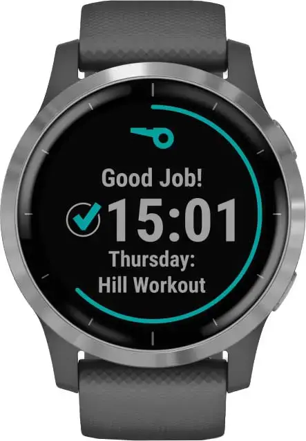 Смарт-часы Garmin Vivoactive 4 Shadow Gray/Silver (010-02174-03)