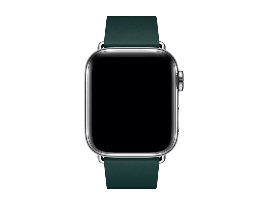 Ремешок Apple Forest Green Modern Buckle - Small (MTQH2) для Watch 38/40/41/42mm