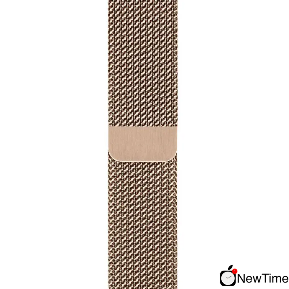 Apple Watch Series 5 GPS + Cellular 40mm Gold Stainless Steel Case with Gold Milanese Loop (MWWV2, MWX72)