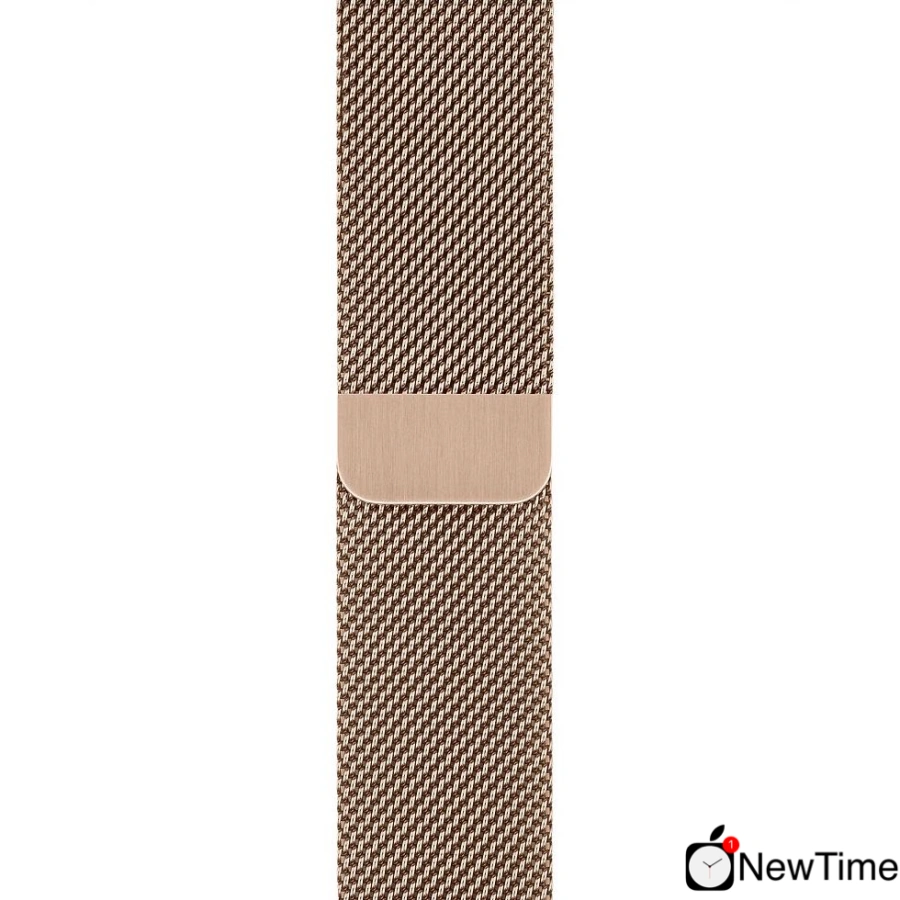 Apple Watch Series 5 GPS + Cellular 40mm Gold Stainless Steel Case with Gold Milanese Loop (MWWV2, MWX72)