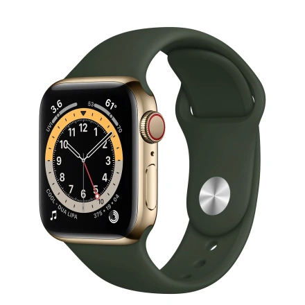 Apple Watch Series 6 GPS + Cellular 40mm Gold Stainless Steel Case with Cyprus Green Sport Band (M02W3, M06V3)