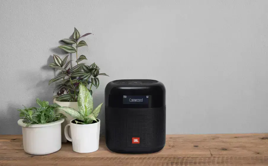 Колонка JBL Tuner XL (JBLTUNERXLBLKEU)