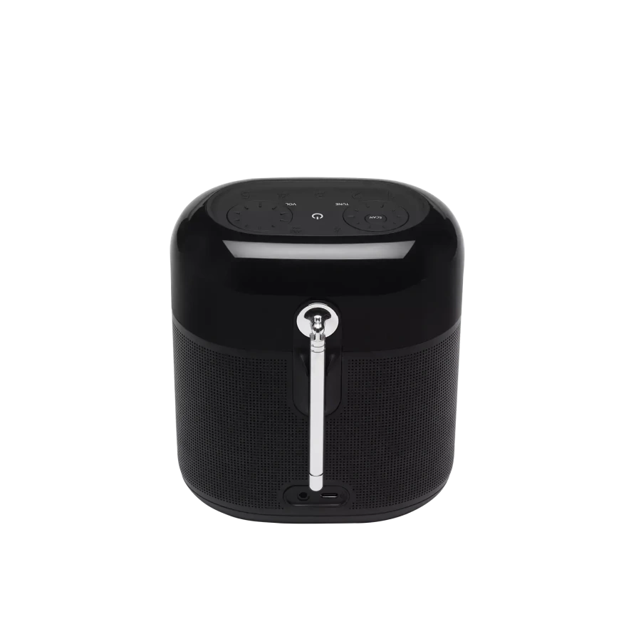 Колонка JBL Tuner XL (JBLTUNERXLBLKEUNA)