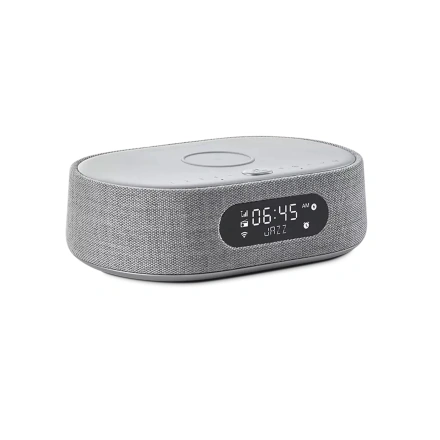 Акустическая колонка Harman/Kardon Citation Oasis Grey (HKCITAOASISGRYEU)