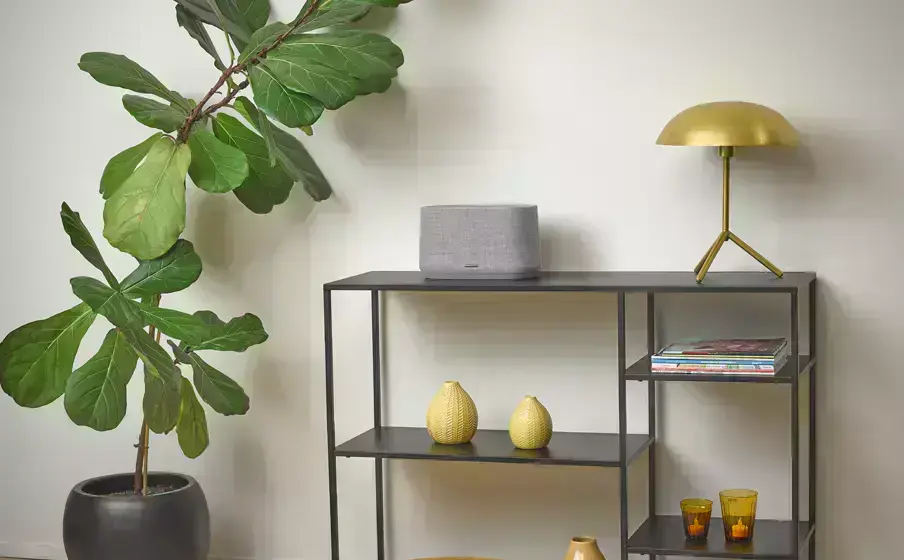 Колонка Harman/Kardon Citatione 300 Black (HKCITATION300BLKEU)