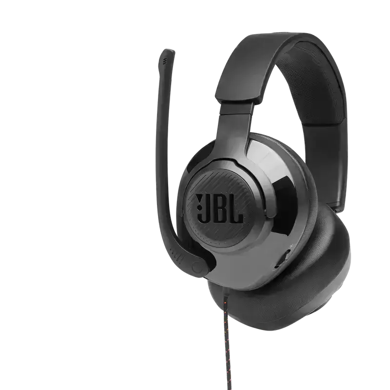 Комп'ютерна гарнітура JBL Quantum 300 Black (JBLQUANTUM300BLK)