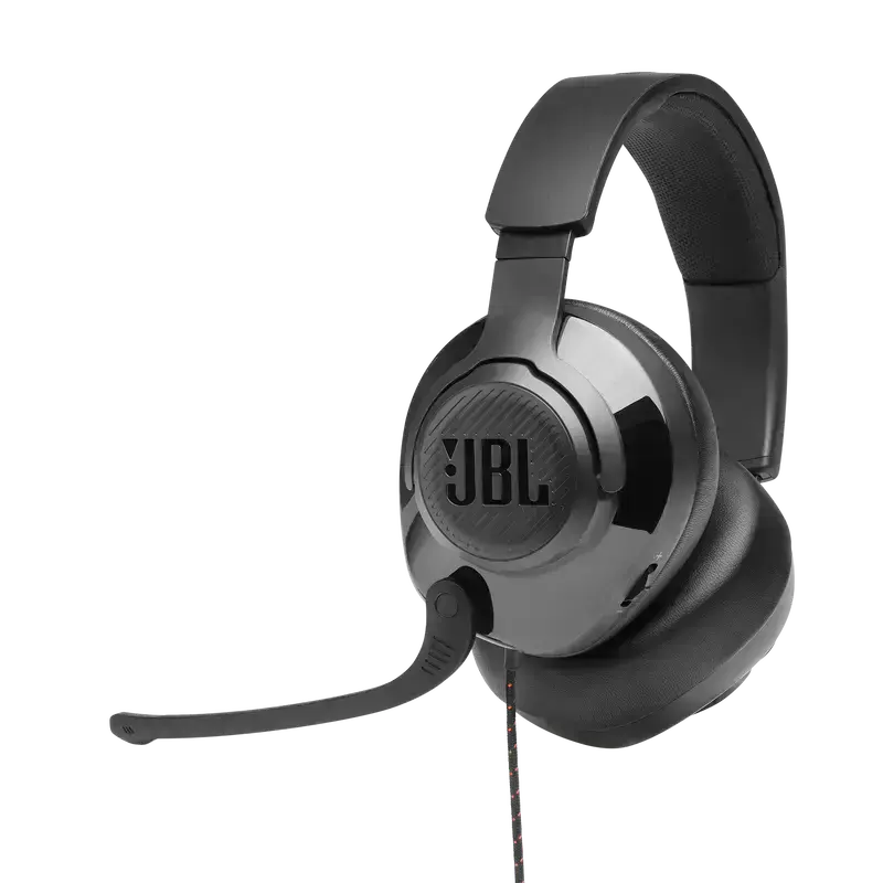 Комп'ютерна гарнітура JBL Quantum 300 Black (JBLQUANTUM300BLK)