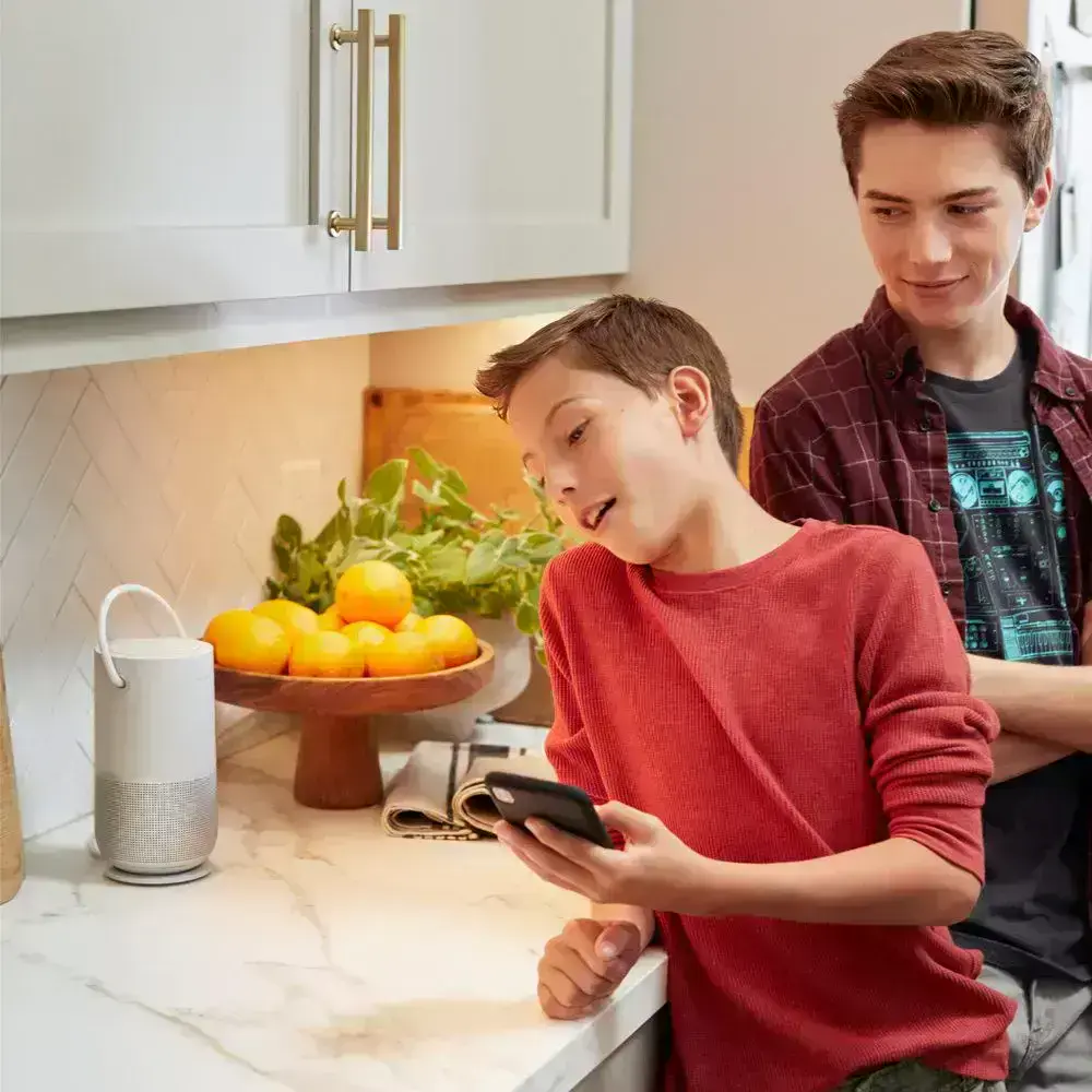Колонка Bose Portable Smart Speaker Luxe Silver (829393-1300, 829393-230)