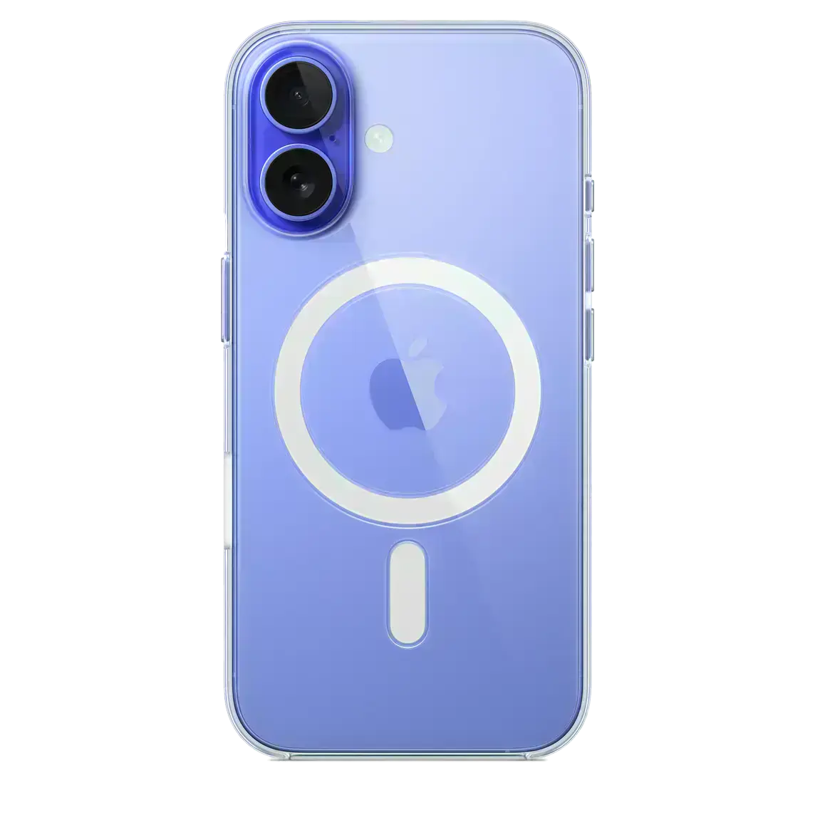 16-clear-case