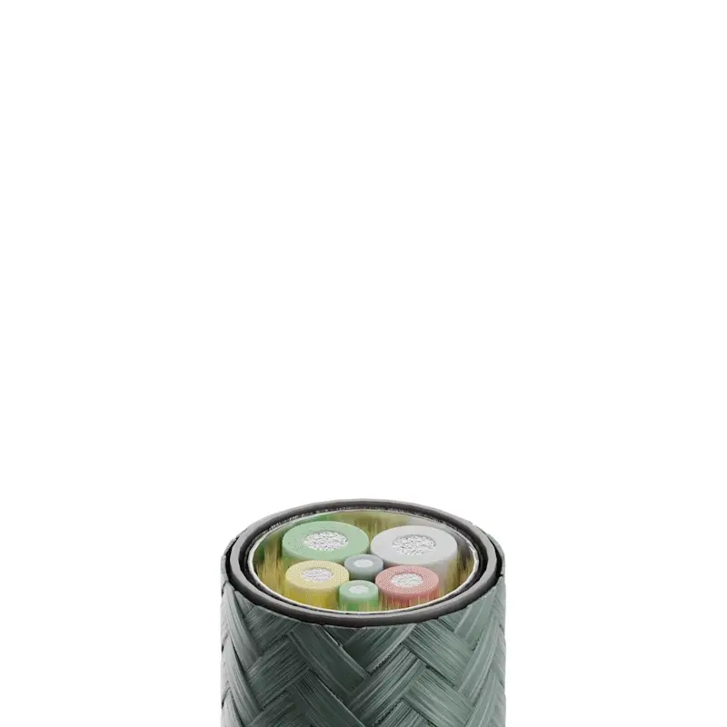 belt-proccl-cos-np-3