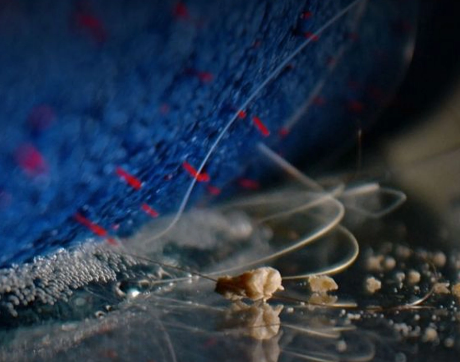 Пылесос для влажной уборки Dyson Clean+Wash Hygiene Hard Floor Cleaner - Prussian Blue/Rich Copper (432030-01)