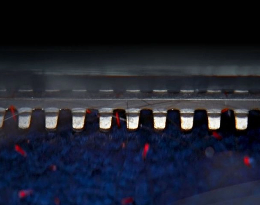 Пылесос для влажной уборки Dyson Clean+Wash Hygiene Hard Floor Cleaner - Prussian Blue/Rich Copper (432030-01)