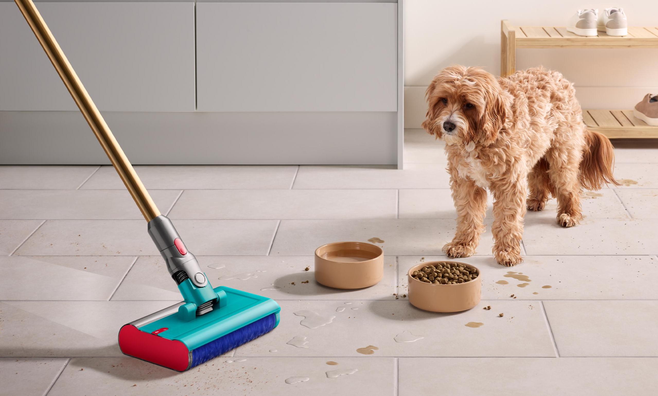 dyson-v15s-detect-submarine-4