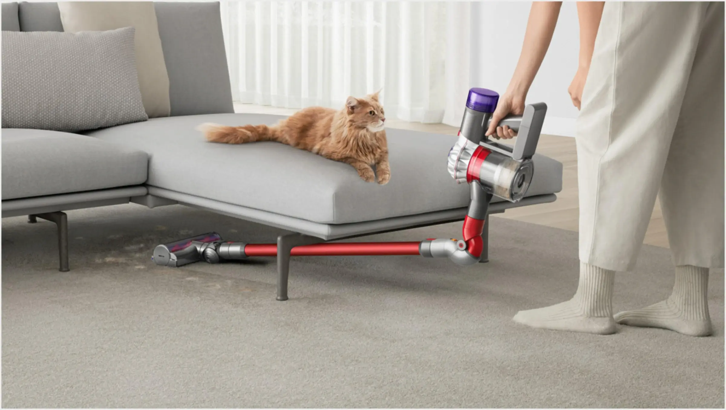 pilosos-dyson-v8-absolute-2022-11