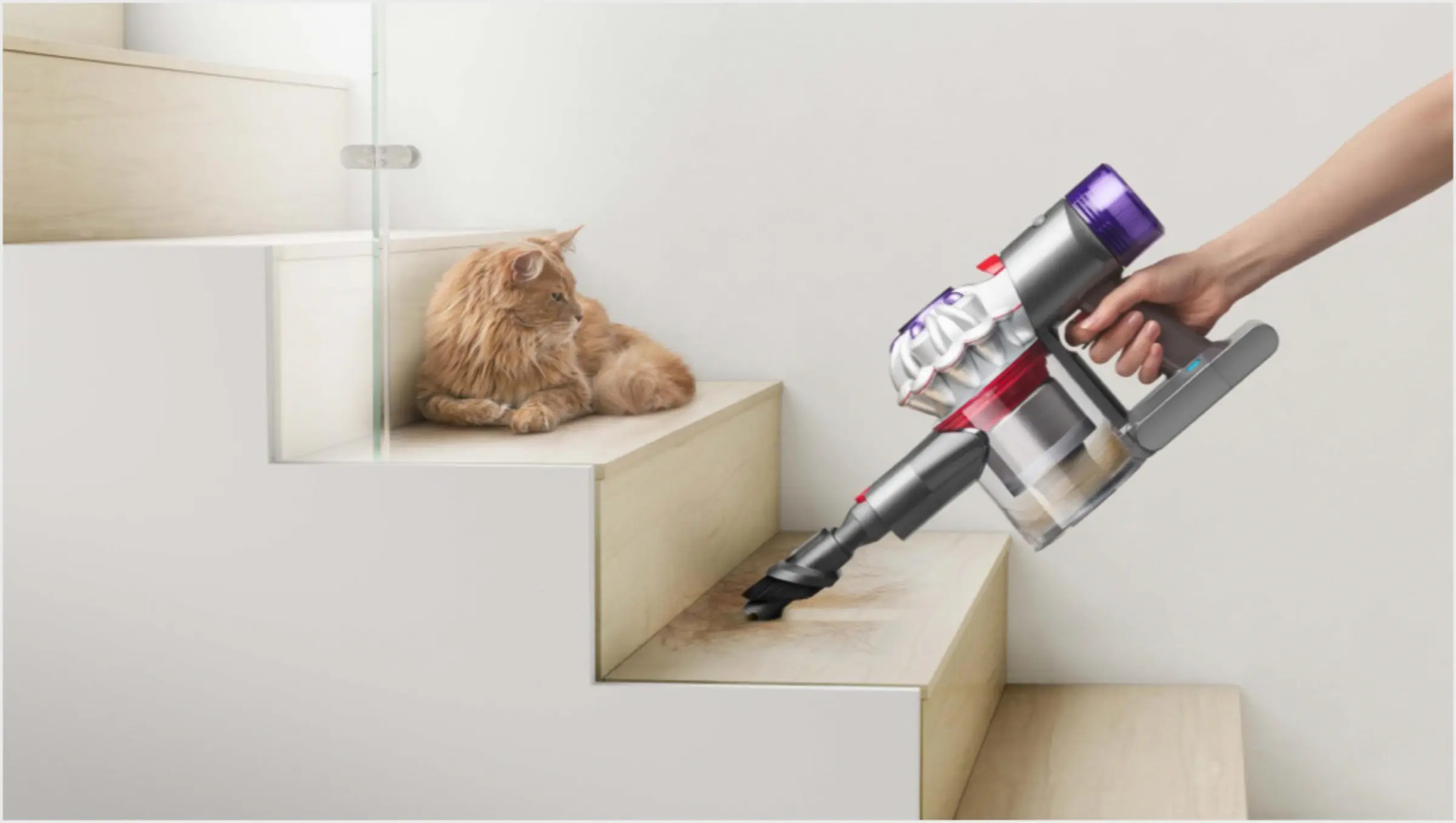 pilosos-dyson-v8-absolute-2022-13