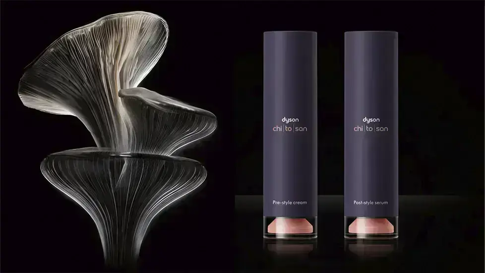 dyson-chitosan-straight-4