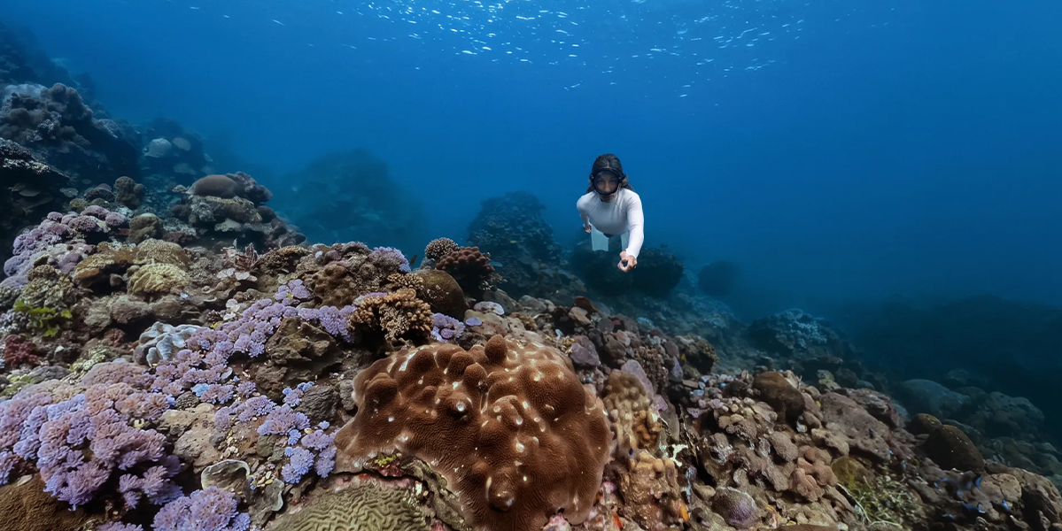 Подводный бокс для 360° съемки Insta360 X6 Invisible Dive Case Pro (CINSBBXG)