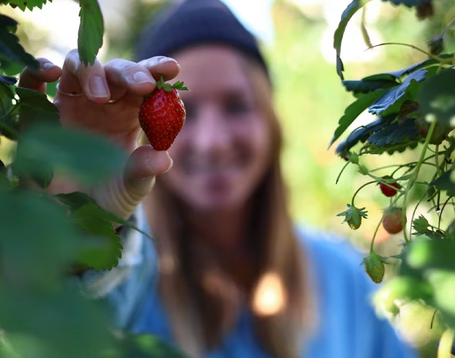 Фотоаппарат Canon EOS R8 body (5803C019)